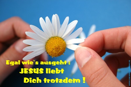 Christliche Spruchkarte, Grußkarte, Postkarte, e-card : "JESUS liebt dich trotzdem !"